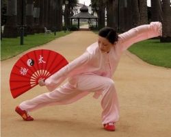tai chi lessons melbourne Wulong Tai Chi Kung Fu – Yarraville