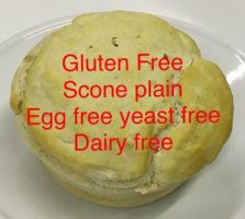 Gluten Free Scone plain