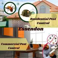 Residential Pest Control Essendon
