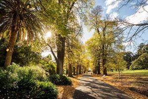 free parks melbourne Fitzroy Gardens