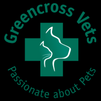 veterinarians melbourne Greencross Vets South Melbourne