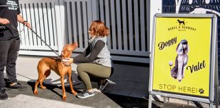 Doggy Valet. #woofplease!