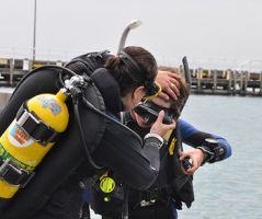 professional diving courses melbourne Snorkel and Dive Safari Altona Beach