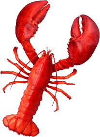 seafood restaurants in melbourne Unabara Lobster & Oyster Bar - Japanese Restaurant Melbourne