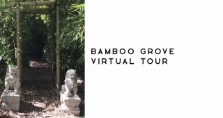 nursery hours melbourne Bamboo Grove (Open via Appointment)