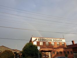 squash lessons melbourne Essendon Squash