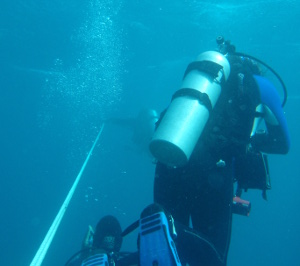 scuba diving lessons melbourne Aquability