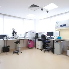clinics assisted reproduction melbourne City Fertility | Melbourne Bundoora | A Global Leader in Fertility and IVF