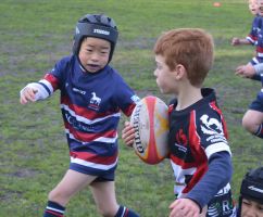 With team's starting as young as Under 6's up to Under 18's our club takes an integrated approach to the development of players at all levels and creating Bronco's for the future!