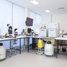 artificial insemination clinics in melbourne City Fertility | Melbourne City | A Global Leader in Fertility and IVF