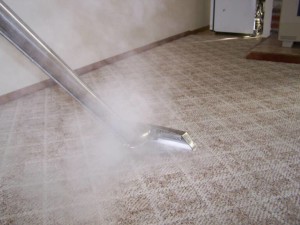 CARPET STEAM CLEANING