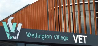 cheap vet melbourne Wellington Village Vet