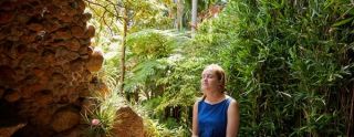 plans on a sunday in melbourne Royal Botanic Gardens Victoria - Melbourne Gardens
