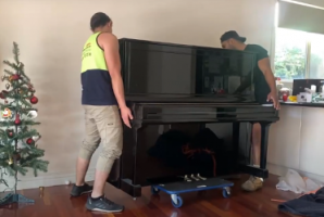 international movings melbourne iMover Furniture Removals