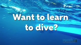 scuba diving lessons melbourne Aquatic Adventures