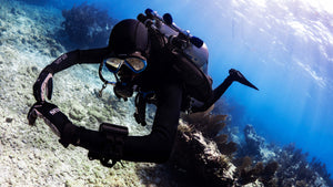 professional diving courses melbourne Simple Dive