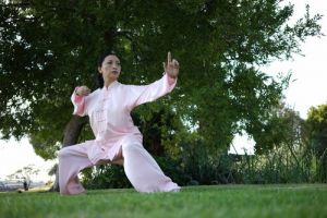 chi kung lessons melbourne Wulong Tai Chi Kung Fu Fairfield