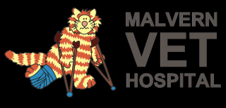 free veterinarian melbourne Malvern Vet Hospital