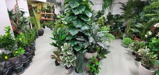 purchase artificial plants