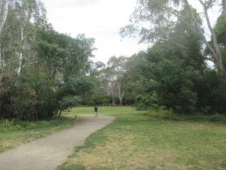 dog friendly parks in melbourne Banksia Park Fenced Dog Park
